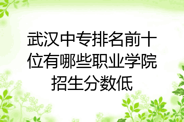武汉中专排名前十位有哪些职业学院招生分数低