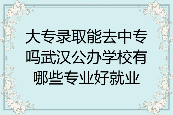 大专录取能去中专吗武汉公办学校有哪些专业好就业
