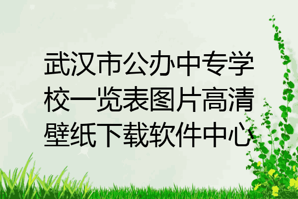 武汉市公办中专学校一览表图片高清壁纸下载软件中心