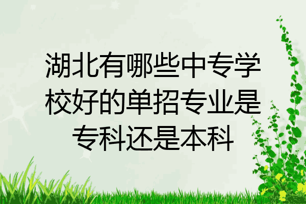 湖北有哪些中专学校好的单招专业是专科还是本科
