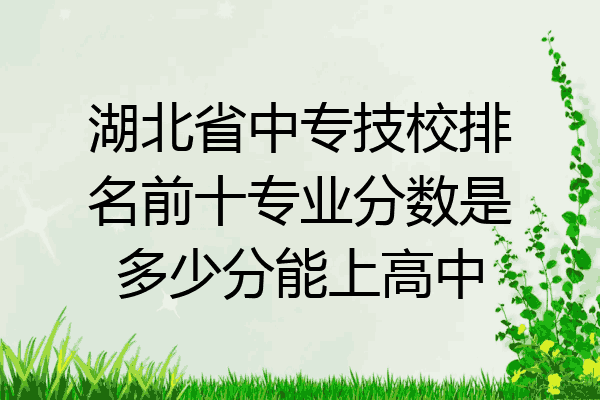 湖北省中专技校排名前十专业分数是多少分能上高中