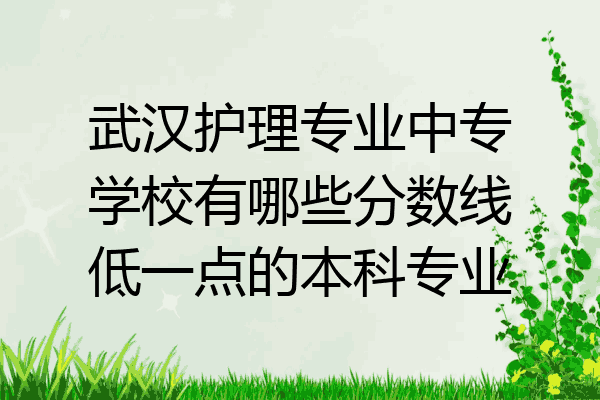武汉护理专业中专学校有哪些分数线低一点的本科专业
