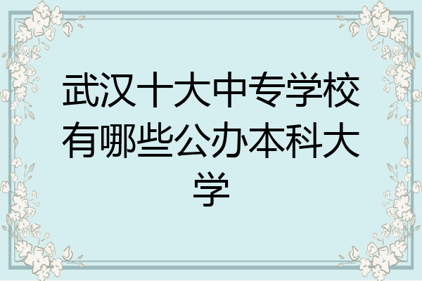 武汉十大中专学校有哪些公办本科大学