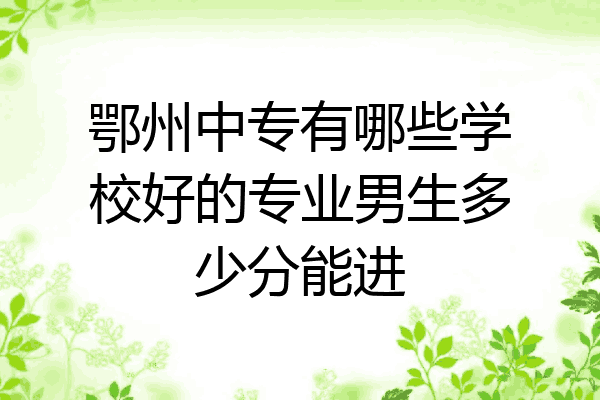 鄂州中专有哪些学校好的专业男生多少分能进