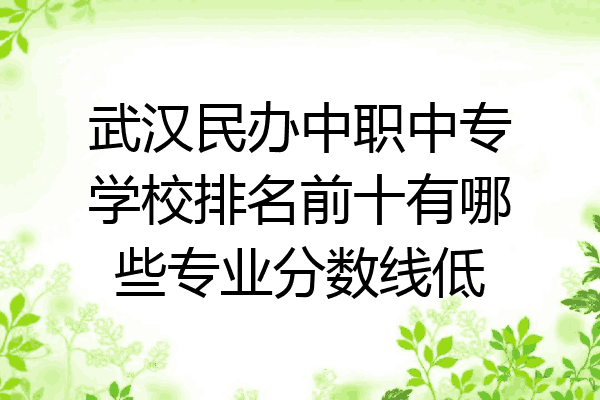 武汉民办中职中专学校排名前十有哪些专业分数线低