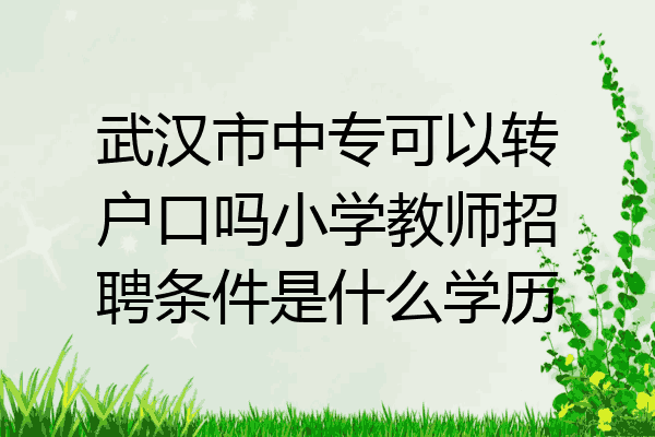 武汉市中专可以转户口吗小学教师招聘条件是什么学历