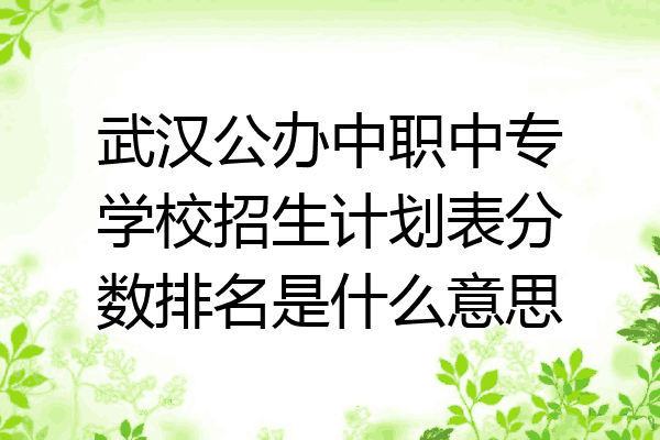 武汉公办中职中专学校招生计划表分数排名是什么意思
