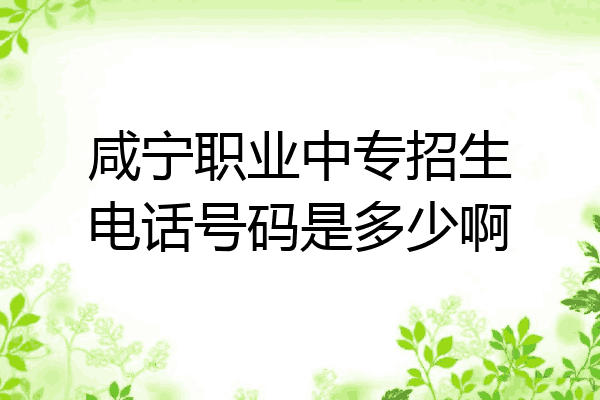 咸宁职业中专招生电话号码是多少啊