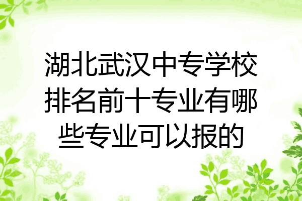 湖北武汉中专学校排名前十专业有哪些专业可以报的