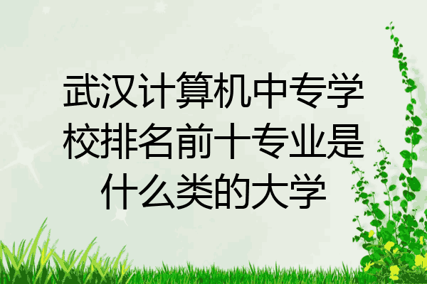 武汉计算机中专学校排名前十专业是什么类的大学