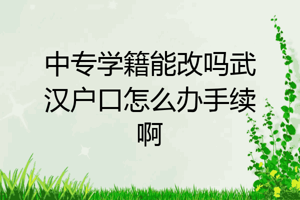 中专学籍能改吗武汉户口怎么办手续啊