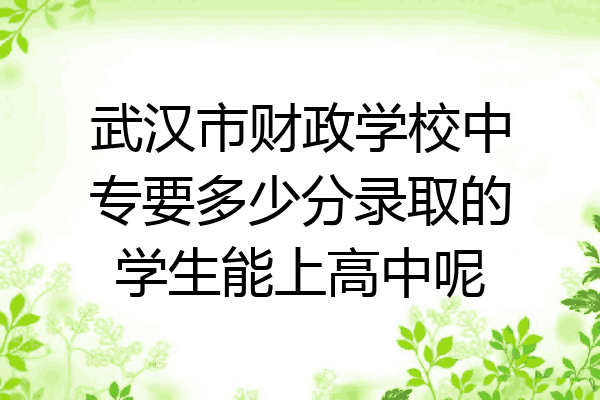 武汉市财政学校中专要多少分录取的学生能上高中呢