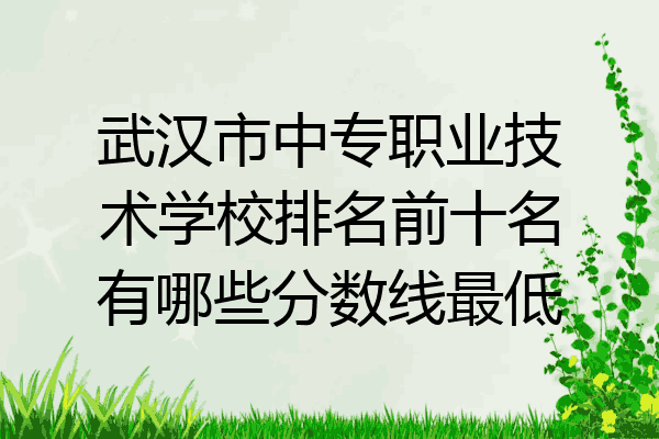 武汉市中专职业技术学校排名前十名有哪些分数线最低