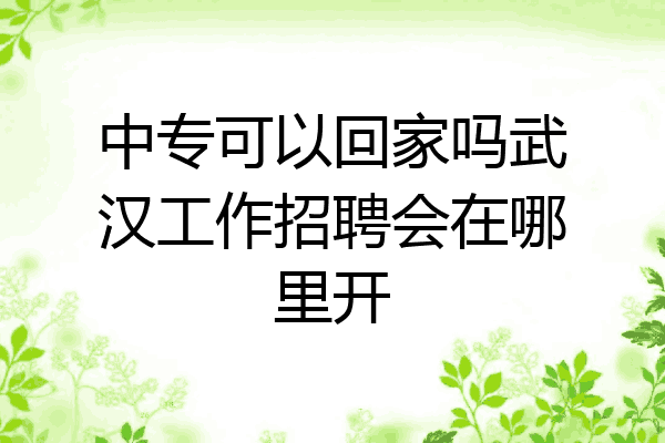 中专可以回家吗武汉工作招聘会在哪里开