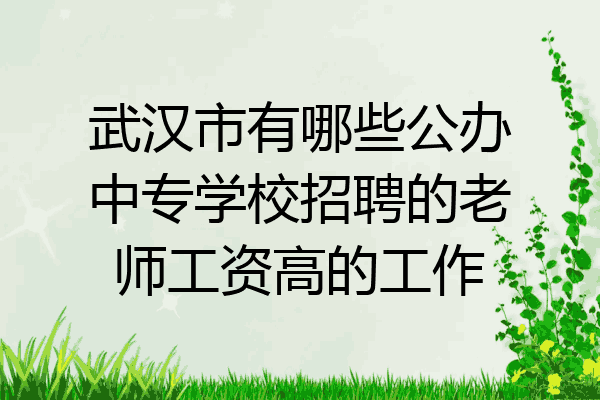 武汉市有哪些公办中专学校招聘的老师工资高的工作
