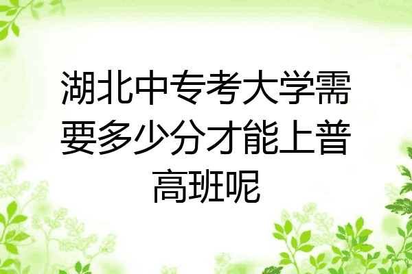 湖北中专考大学需要多少分才能上普高班呢