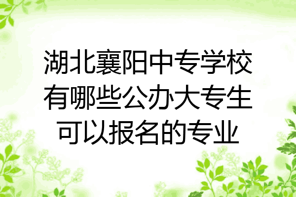 湖北襄阳中专学校有哪些公办大专生可以报名的专业