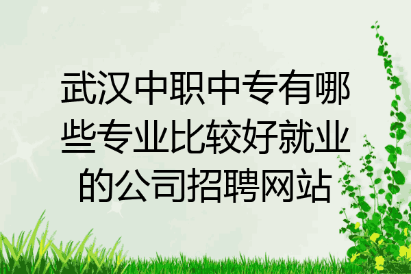武汉中职中专有哪些专业比较好就业的公司招聘网站