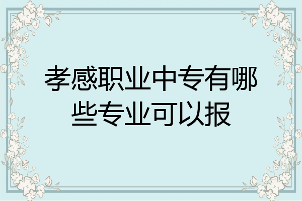 孝感职业中专有哪些专业可以报