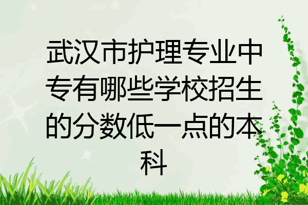 武汉市护理专业中专有哪些学校招生的分数低一点的本科