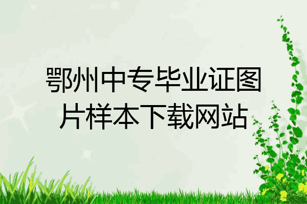 鄂州中专毕业证图片样本下载网站