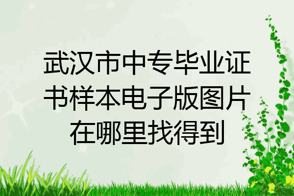 武汉市中专毕业证书样本电子版图片在哪里找得到