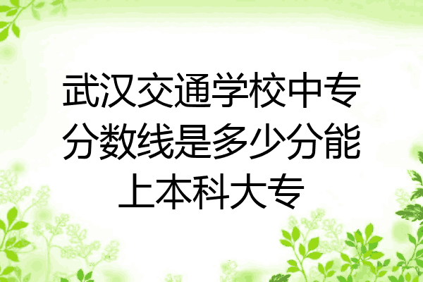 武汉交通学校中专分数线是多少分能上本科大专
