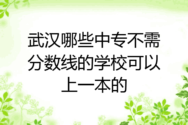 武汉哪些中专不需分数线的学校可以上一本的