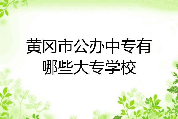 黄冈市公办中专有哪些大专学校