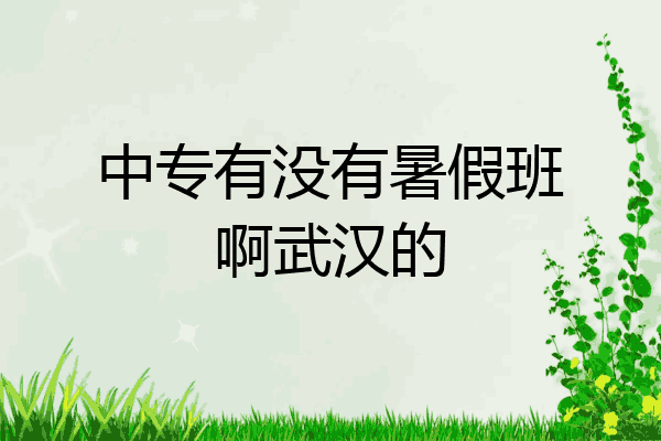 中专有没有暑假班啊武汉的