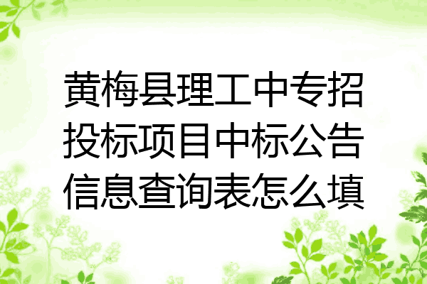 黄梅县理工中专招投标项目中标公告信息查询表怎么填