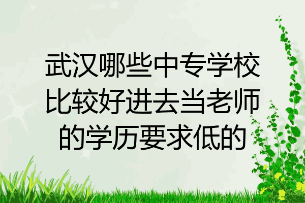 武汉哪些中专学校比较好进去当老师的学历要求低的