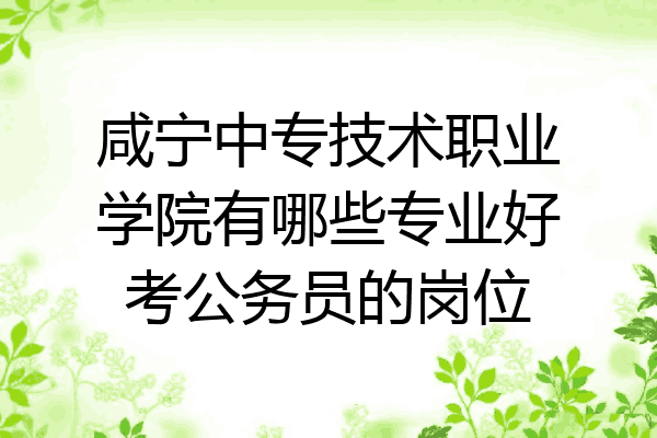 咸宁中专技术职业学院有哪些专业好考公务员的岗位