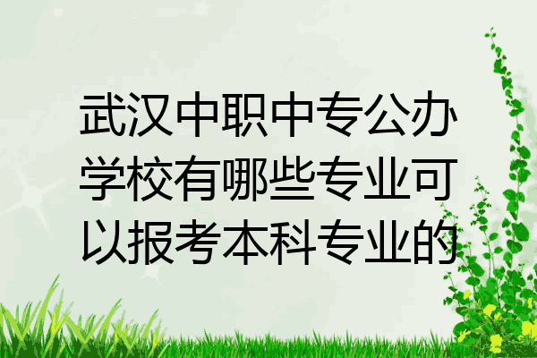 武汉中职中专公办学校有哪些专业可以报考本科专业的