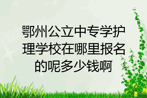 鄂州公立中专学护理学校在哪里报名的呢多少钱啊