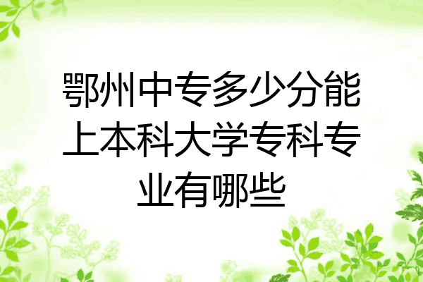 鄂州中专多少分能上本科大学专科专业有哪些