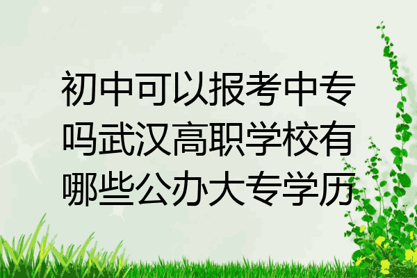 初中可以报考中专吗武汉高职学校有哪些公办大专学历