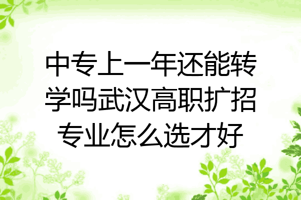 中专上一年还能转学吗武汉高职扩招专业怎么选才好