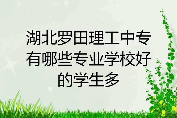 湖北罗田理工中专有哪些专业学校好的学生多
