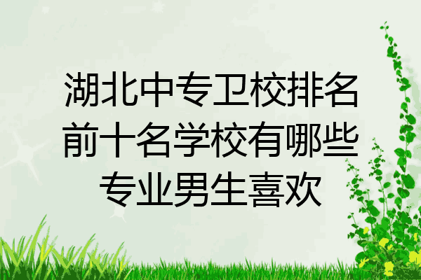 湖北中专卫校排名前十名学校有哪些专业男生喜欢