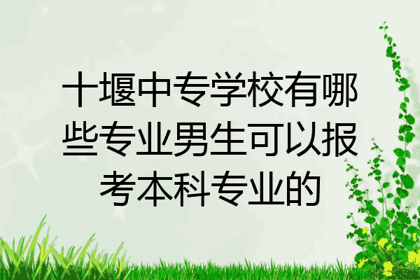 十堰中专学校有哪些专业男生可以报考本科专业的