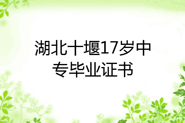 湖北十堰17岁中专毕业证书