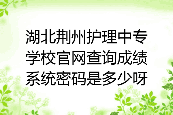 湖北荆州护理中专学校官网查询成绩系统密码是多少呀