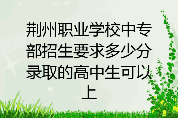 荆州职业学校中专部招生要求多少分录取的高中生可以上