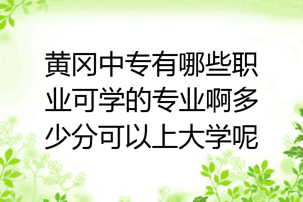 黄冈中专有哪些职业可学的专业啊多少分可以上大学呢