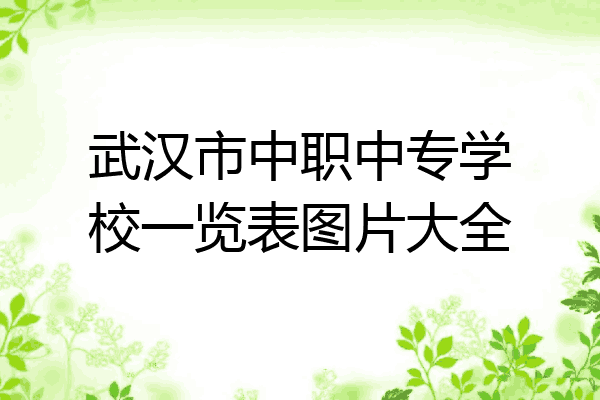 武汉市中职中专学校一览表图片大全