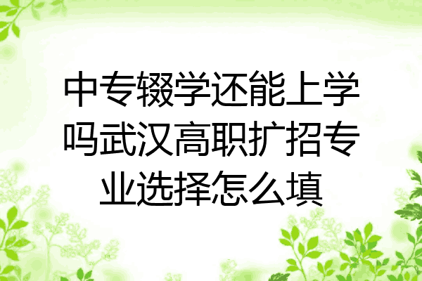 中专辍学还能上学吗武汉高职扩招专业选择怎么填