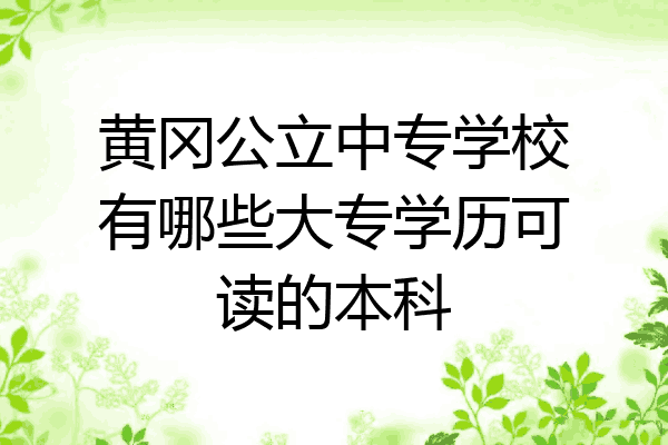 黄冈公立中专学校有哪些大专学历可读的本科
