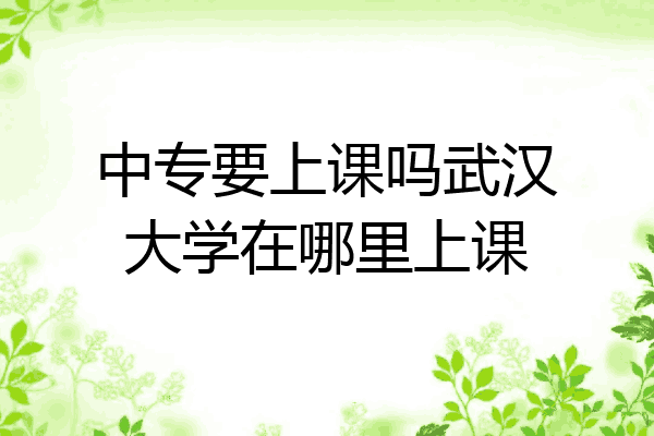 中专要上课吗武汉大学在哪里上课