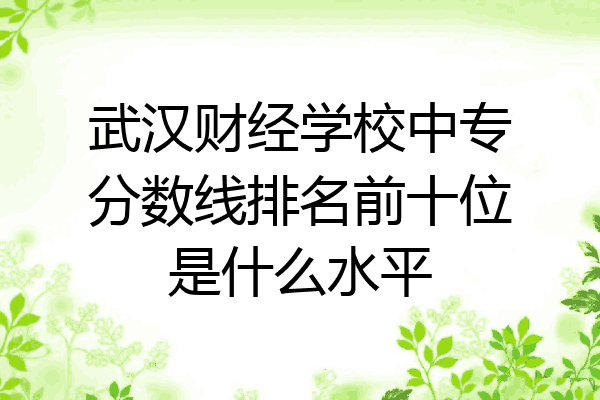 武汉财经学校中专分数线排名前十位是什么水平